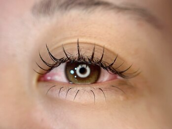 ポレポレ(polepole)/最高級フラットラッシュ