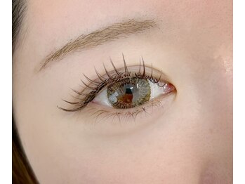 チェミール(CHEMIR)/フラットカラー140本