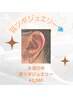 【耳ツボジュエリー】両耳で10粒