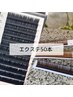 【新規】　50本 　【セーブル/フラット/カラー】 