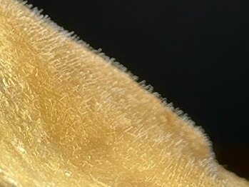 アイブロウスタジオ711.の写真/超感動!!驚くほど透き通ったタマゴ肌に◎【フルフェイシャルWAX脱毛】角質除去しトーンUPの艶肌へ♪