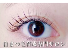 ルルレット(Lulu lit)の雰囲気（まつ毛パーマもマツエクもお任せください♪）