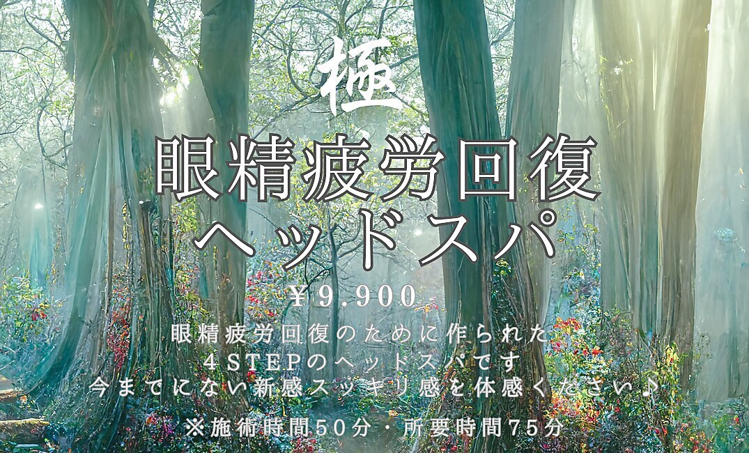 【ご新規様限定】極・眼精疲労回復ヘッドスパ　\9900