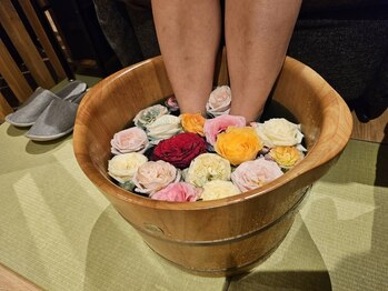 彗星蘭 浅草店/