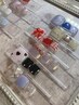 【オフ込】フット☆店内サンプル定額アート7500円8500円から¥500引き☆