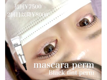 メメ(meme)の写真