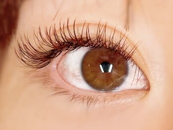 エニーラッシュ(ANYLASH)/2色カラーMIX