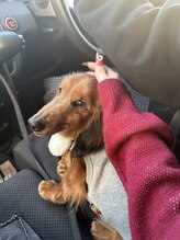 モモ 京橋(momo)&nbsp;AYANA 