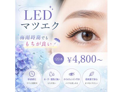 ワンダーウォール 別府店(WONDER WALL)の写真