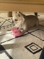ゆるりら&nbsp;実家で飼っている愛犬です！動物大好きです♪