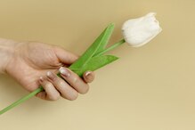 ネイルチップス 霧島店(NAIL TIPS)