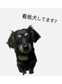 ボンドストーリー 栄店(Bond Story) ぽんず