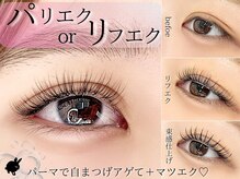 バニーラッシュ(Bunny Lash)の雰囲気（下がりまつげ改善も◎パリエク/リフエクはメニューも豊富★千葉）