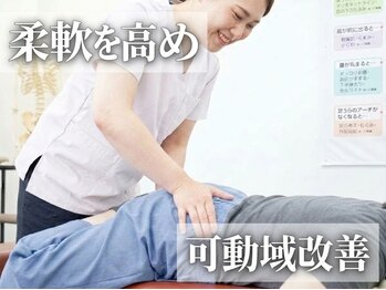 きりんの写真/日々の癖などからでてくるからだのゆがみを骨格から整えます。骨盤調整+全身調整で根本改善！