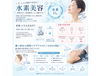 ミミ 大阪(MIMI)の写真
