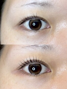 ダーム ド ローズ(Dame de rose)/【まつ毛パーマ】