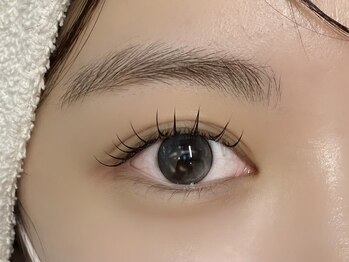 ネリネ 天神(nerine)/パリエク70本/パリジェンヌ