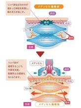 もんたわ鍼灸整骨院/【筋膜リリース】