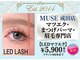 ミューズ 成田店(MUSE)の写真