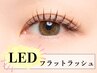 《LEDマツエク》フラットラッシュ 100本 [ナチュラル/こだわり素材/上大岡駅]