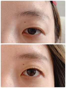 バードアイ(bird eye)/ラッシュリフト+眉ワックス