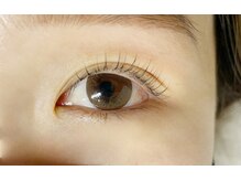 リイ ボー(Re:Beau)/ラッシュリフト　田中施術