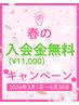 春の入会金無料キャンペーン実施中♪