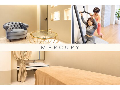 ボルテージ マーキュリー 湯島本郷店(Voltage Mercury)の写真