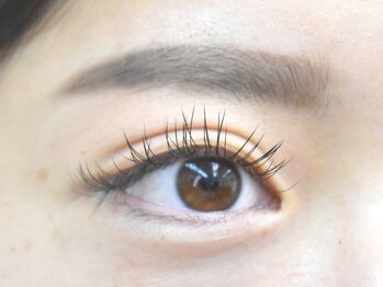 アンジェリ(Angeli)/フラット120本