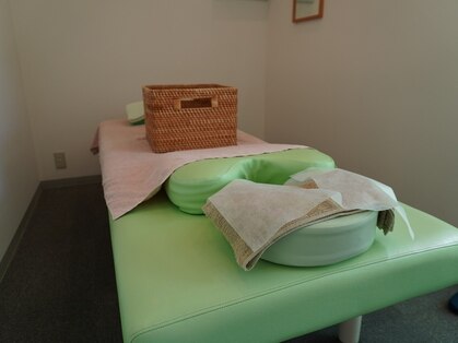 もみの木の写真