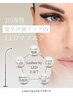 【初回限定】LEDバインドロック120束10000円