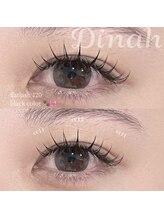 ダイナ(Dinah)/フラットラッシュ120本