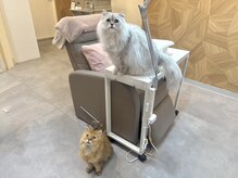 ルダリドゥー 東銀座店(Le Dali Deux)