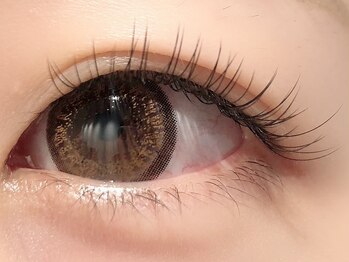 カラン 焼津店(CALIN)/フラットラッシュ100本