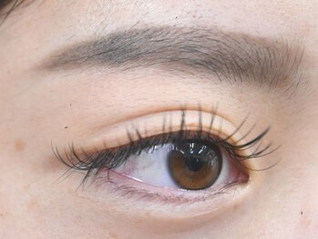 アンジェリ(Angeli)/フラット120本