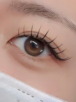 ルーフアイ(ROOF EYE)/ROOF EYE(ルーフ アイ)