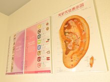 ドゥーグレイス(Do Grace)/