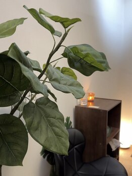 ユアン 相模原店(癒and...)/植物に癒されて 店内奥から待合