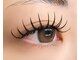 ビューティアイ(Beauty eye)の写真