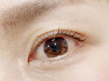 ロンド(Rond)/カールデザイン