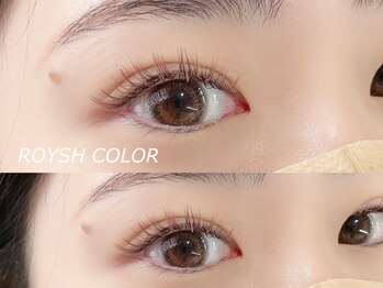 クプ アイラッシュプラス(qup)/カラーフラットラッシュ160本