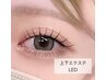 【LEDグルー】フラット90本＋下30本￥7890