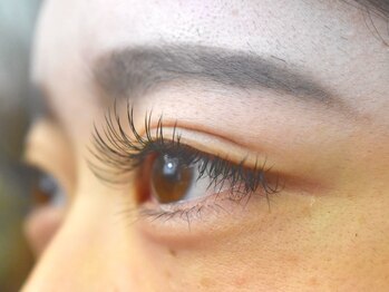 アンジェリ(Angeli)/フラット120本