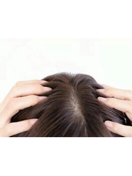 初めての方にオススメ