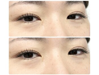 ティピ(tipi)/フラットラッシュ140本