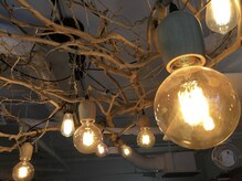 マジョルネ(Ma journee)の雰囲気(静かな音楽と緑の空間)