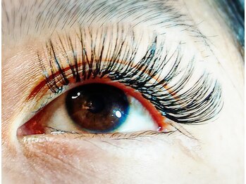 ベリー(Berry)/ボリュームラッシュ500本