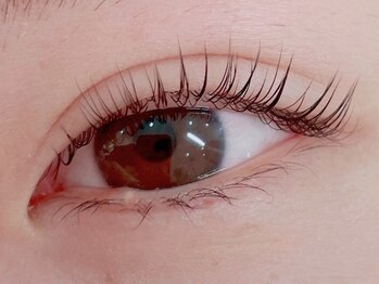 コロル(COLOR)/まつげパーマ