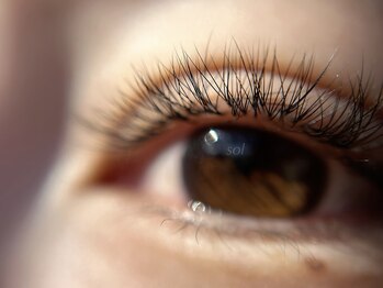 ソル ラッシュアンドブロウ(SOL lash&blow)/ボリュームラッシュ