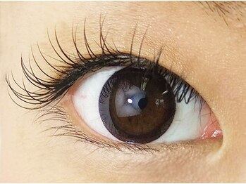 アキュート エ/フラットラッシュ片目40本